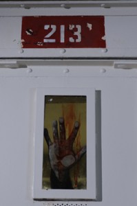 CELL213_05